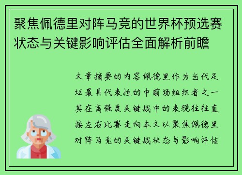 聚焦佩德里对阵马竞的世界杯预选赛状态与关键影响评估全面解析前瞻